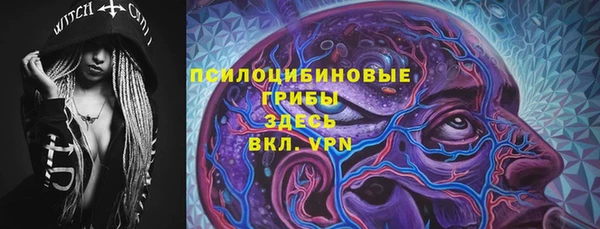 молекула духа Алексин