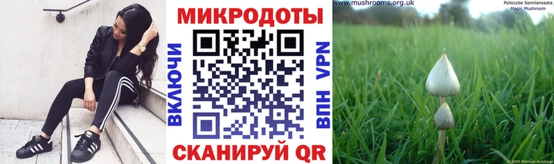 Псилоцибиновые грибы Magic Shrooms  сайты даркнета Telegram  Оленегорск 